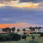 Martina's Vineyard - *