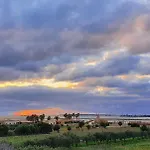 Martina's Vineyard - *