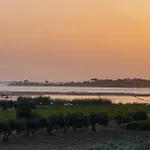 Martina's Vineyard - Willa Marsala