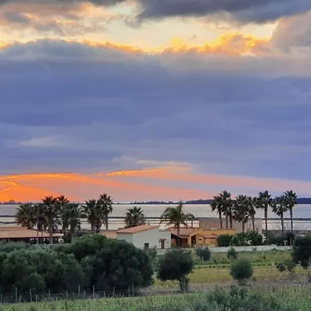Martina's Vineyard - *
