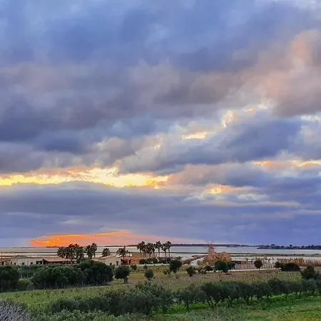 Martina's Vineyard - *