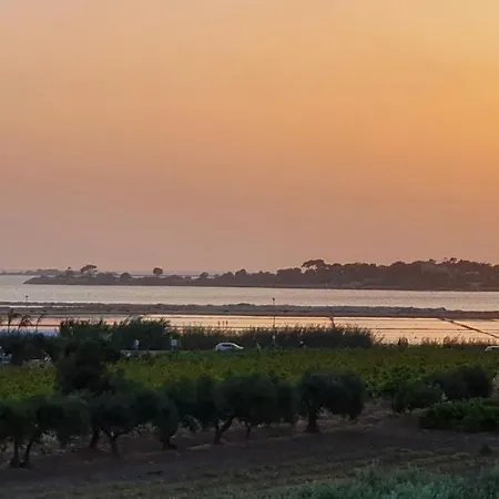 Martina's Vineyard - Villa Marsala