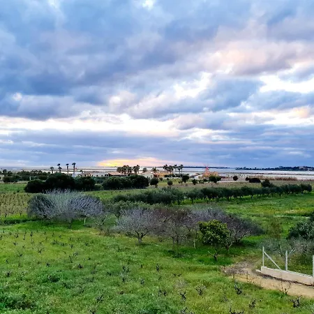 Martina's Vineyard - Villa *