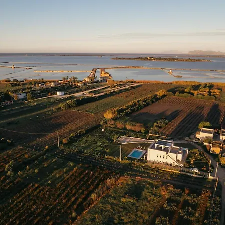 Martina's Vineyard - * マルサラ