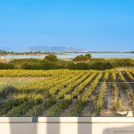 Martina's Vineyard - Villa Marsala