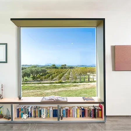 Villa Martina's Vineyard -